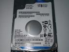 WD 1TB Hard Drive