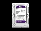 WD 1TB Purple Desktop HDD