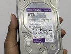 WD 8TB Purple HDD