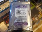 WD Hard Disk (2TB)