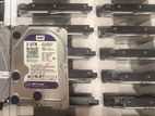 WD Perple 2TB Hard Disk