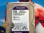 WD Purple 2TB Hard