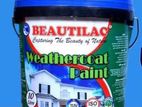 Weathercoat Paint