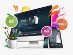 Web Design Development