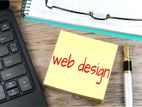 Website Design Service