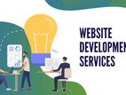 Website Designing and Hosting