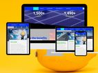 Website Development