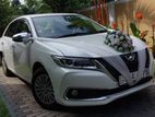 Wedding car Allion