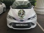 Wedding Car - Axio Chrome Shell