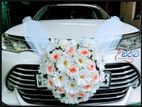 WEDDING CAR - Axio Chrome Shell New Face