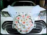 WEDDING CAR - Axio Chrome Shell New Face