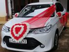 Wedding Car for Hire - Axio Hybrid