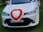 Wedding Car for Hire - Axio Hybrid