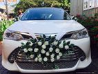 Wedding Car for Hire Toyota Allion