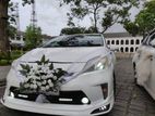 Wedding car for hire toyota prius