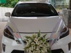 Wedding Car for Hire Toyota Prius