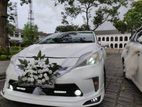 Wedding Car for Hire Toyota Prius