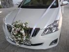 Wedding Car for Rent Toyota Premio