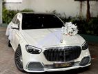 Wedding Car Hire - BENZ MAYBACH