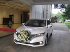 Wedding Car Hire for Premio