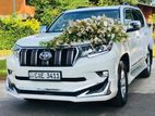 Wedding Car Hire - Prado Tx 150 new face