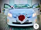 Wedding Car Hire Prius