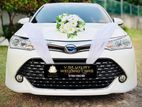 Wedding Car Hires - Axio Wxb with free Decorations