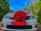 Toyota Axio Wedding Car Hires
