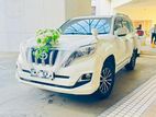 Wedding Car Hires - Land Cruiser Prado 150 Tx