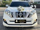 Wedding Car Hires - Land Cruiser Prado 150 Tx with Free Decorations