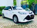 Wedding Car Hires - Toyota Axio with Free Decorations