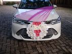 Wedding car rent Toyota axio crome shell