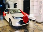 Wedding car rent Toyota axio hybrid