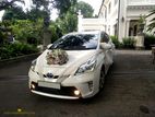 Wedding Car Rent Toyota Prius