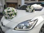Wedding Car Rent Toyota Prius