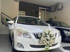 Wedding Car Service Toyota Premio – White