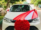 Wedding car Toyota axio crome shell