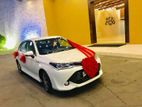 Wedding Car Toyota Axio