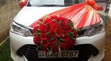 Wedding Car Toyota Axio Hybrid