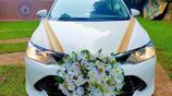 Wedding car toyota axio hybrid