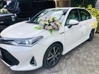 Wedding car Toyota axio hybrid