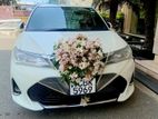 Wedding Cars for Hire Axio WXB Car
