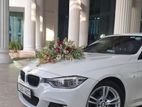 Wedding Cat BMW 318i