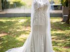 Wedding Dress and Veil