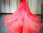 Wedding Frock