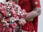 Wedding Saree