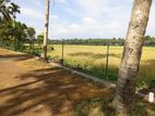 Weedagama Land for sale