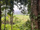 Welahulugama Watta Land for Sale