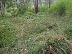 Welimada - Boralanda 1 acres Agriculture Land for Sale