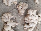 Rangoon Seed Ginger